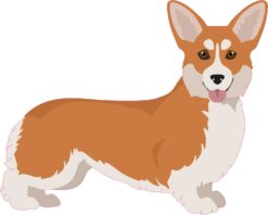 Right Facing Red and White Corgi Vinyl Sticker