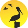 Sunset Pelicans Vinyl Sticker