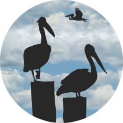 Cloudy Sky Pelicans Vinyl Sticker
