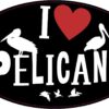 I Love Pelicans Vinyl Sticker