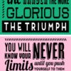 Pink and Green Inspirational Quote Vinyl Stickers