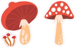 Red Mushroom Vinyl Stickers