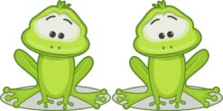 Frog Vinyl Stickers