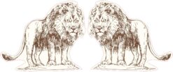 Vintage Lion Vinyl Stickers