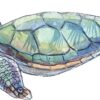 Left Facing Sea Turtle Vinyl Sticker