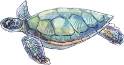 Left Facing Sea Turtle Vinyl Sticker
