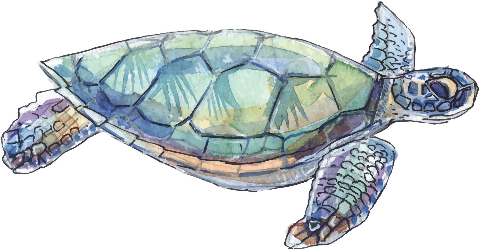 Right Facing Sea Turtle Vinyl Sticker