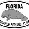 Manatee Ichetucknee Springs State Park Vinyl Sticker