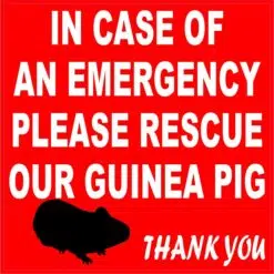 In Case of Emergency Please Rescue Guinea Pig Vinyl Sticker
