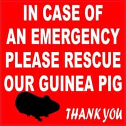 In Case of Emergency Please Rescue Guinea Pig Magnet