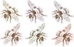 Colorful Bee Vinyl Stickers