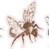 Colorful Right Facing Bee Vinyl Stickers