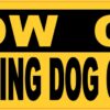 Slow Car Sightseeing Dog on Board Magnet