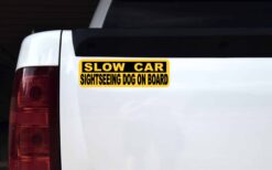 Slow Car Sightseeing Dog on Board Vinyl Sticker