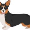 Black Headed Tricolor Corgi Vinyl Sticker