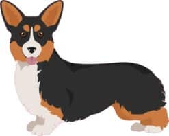 Black Headed Tricolor Corgi Vinyl Sticker