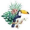 Tropical Toucan Vinyl Sticker