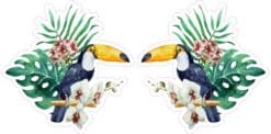 Mirrored Tropical Toucan Vinyl Stickers