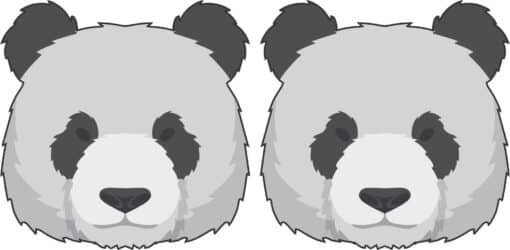 Panda Vinyl Stickers