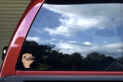 Ostrich Vinyl Stickers