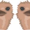 Ostrich Vinyl Stickers