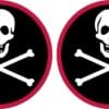 Red Border Skull and Crossbones Vinyl Stickers