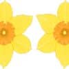 Yellow Daffodil Vinyl Stickers
