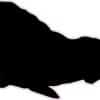 Left Facing Walrus Silhouette Vinyl Sticker