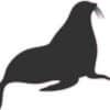 Right Facing Sea Lion Silhouette Vinyl Sticker