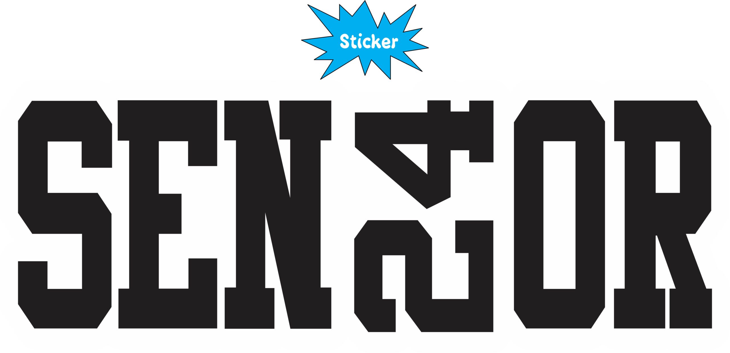 StickerTalk Senior 2024 Vinyl Sticker, 8 inches x 3 inches