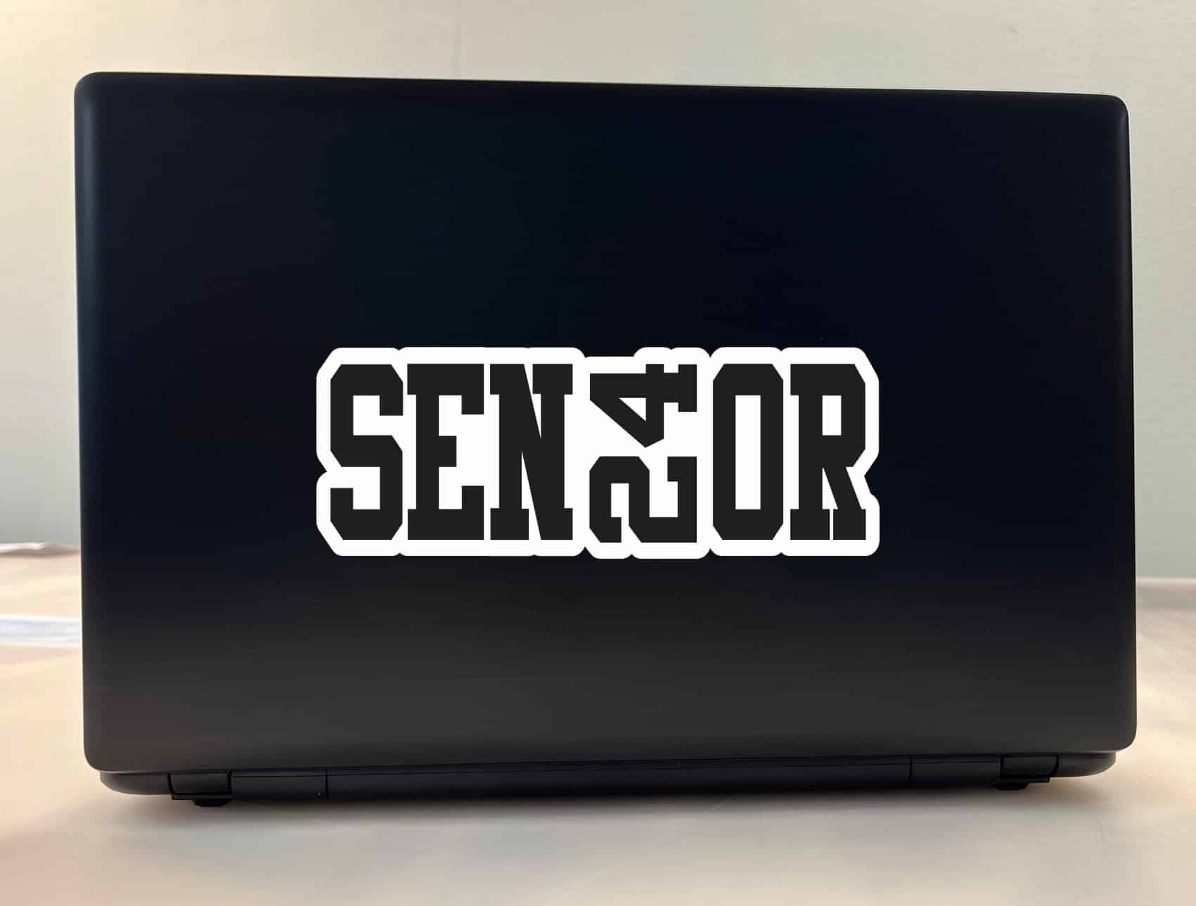 StickerTalk Senior 2024 Vinyl Sticker, 8 inches x 3 inches