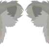 Koala Stickers