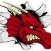 Red Dragon Vinyl Sticker