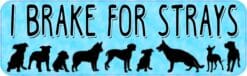I Brake for Strays Vinyl Sticker