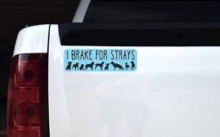 I Brake for Strays Vinyl Sticker