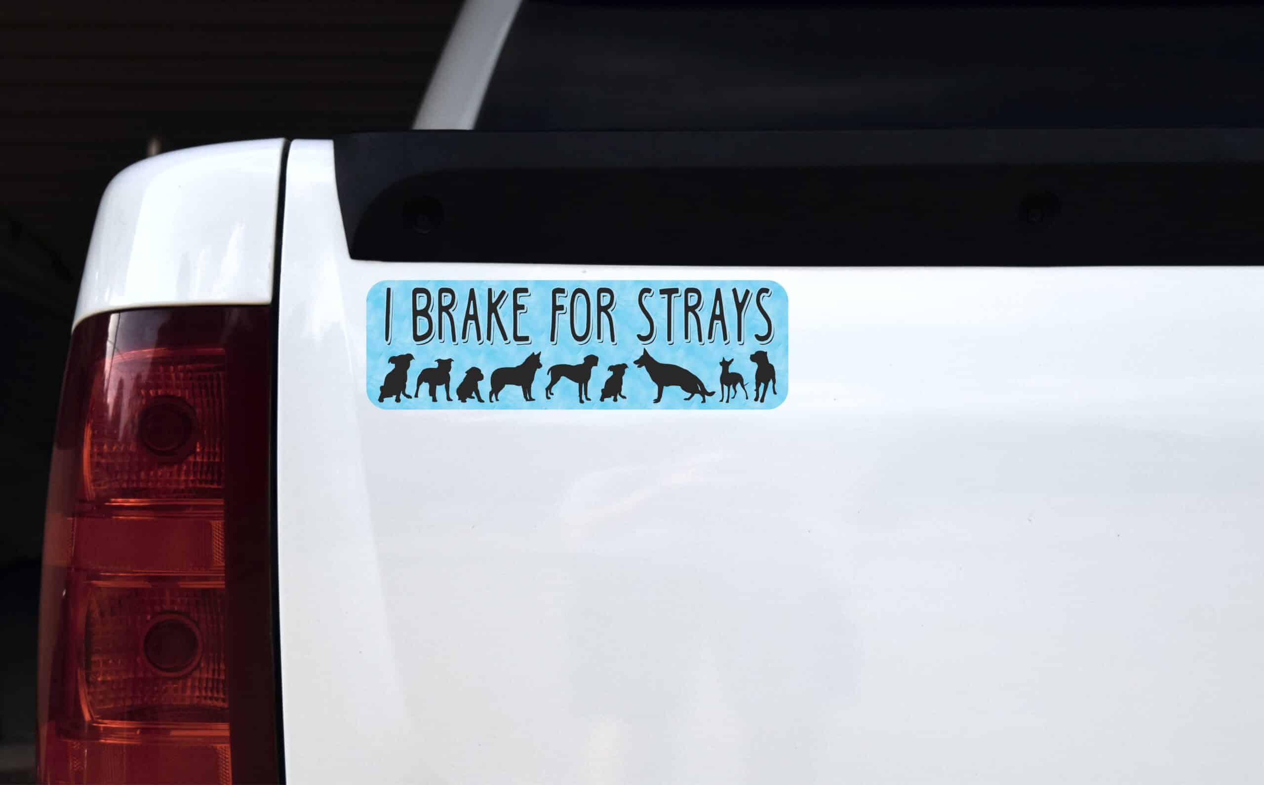 I Brake for Strays Vinyl Sticker