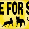 Yellow I Brake for Strays Magnet
