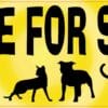 Yellow I Brake for Strays Vinyl Sticker