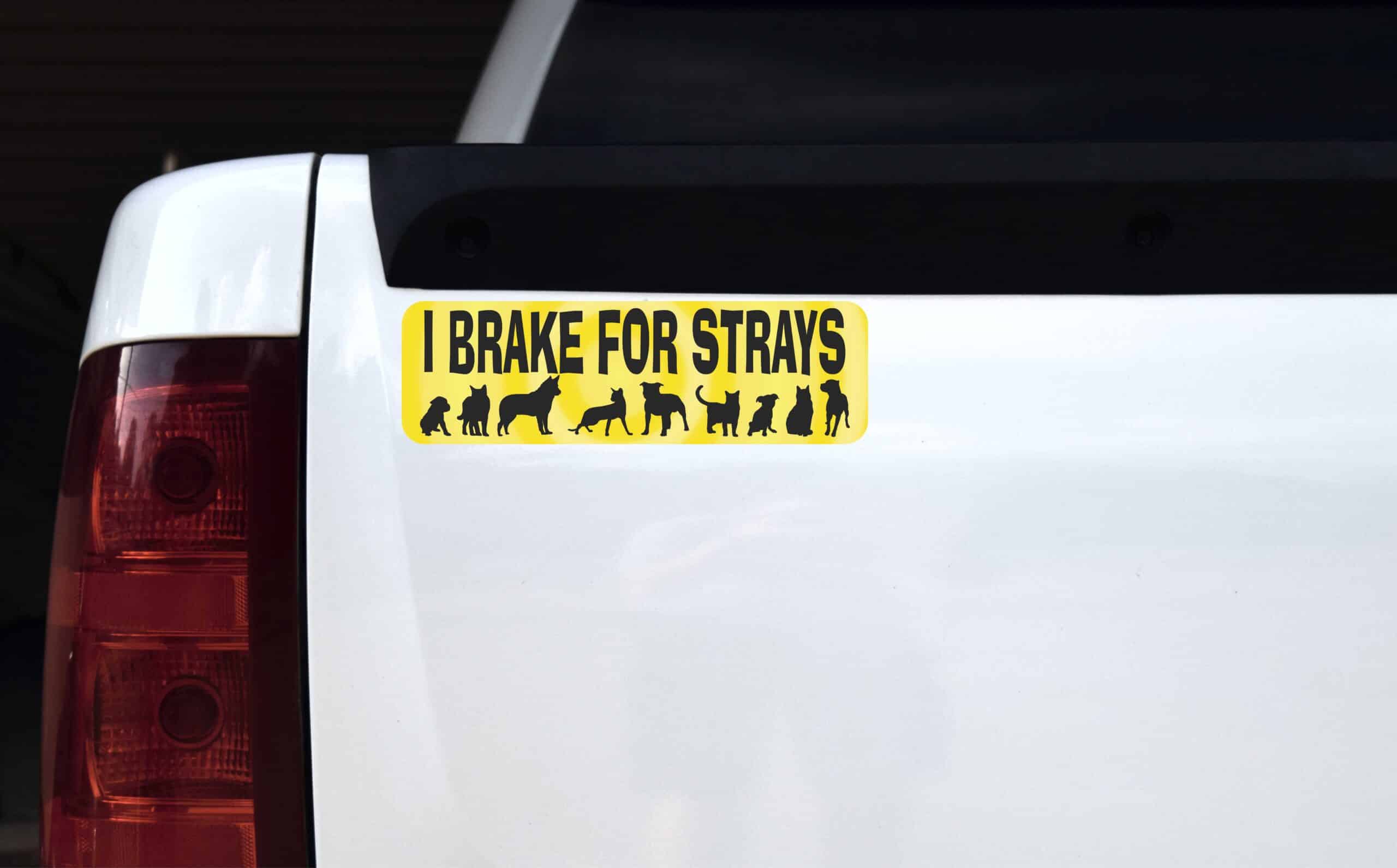 Yellow I Brake for Strays Vinyl Sticker