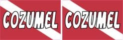 Cozumel Dive Flag Vinyl Sticker