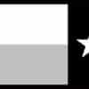 Texas Flag Sticker