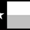Texas Flag Sticker