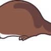 Left Facing Otter Vinyl Sticker