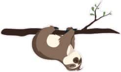 sloth sticker