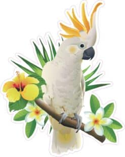 Cockatoo Sticker
