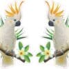 Cockatoo Stickers