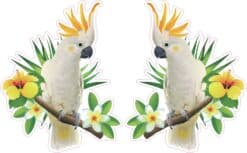 Cockatoo Stickers