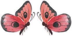 Butterfly Stickers