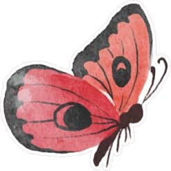 Butterfly Sticker