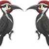 Woodpecker Stickers